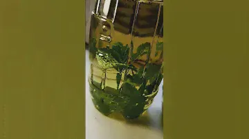 Оливковое масло сочетание с тонкими нотками мяты идеальный концентрат вкусовых рецепторов.🤌